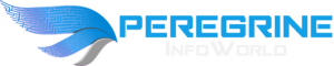 Peregrine InfoWorld Logo