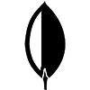 MongoDB